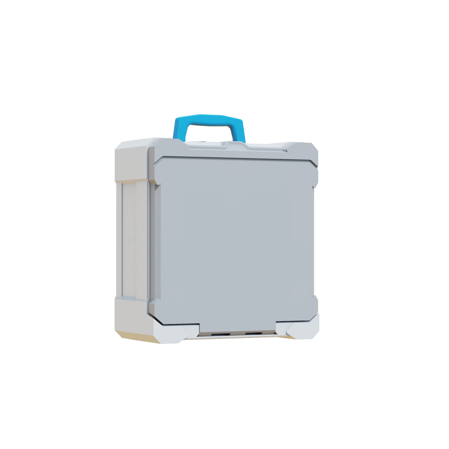 Omni Storage Case - Micro