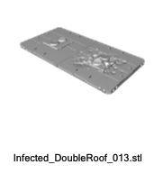 Magna Fortuna - Infected Double Roofs